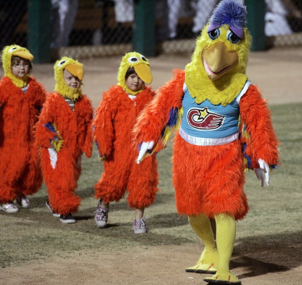 Photo Gallery The San Diego Chicken Sports Tucsoncom