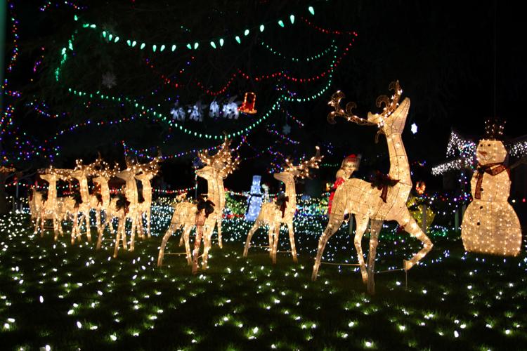 65th Annual Winterhaven Festival of Lights