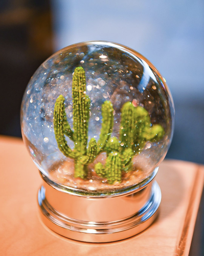 Why I Love Where I Live