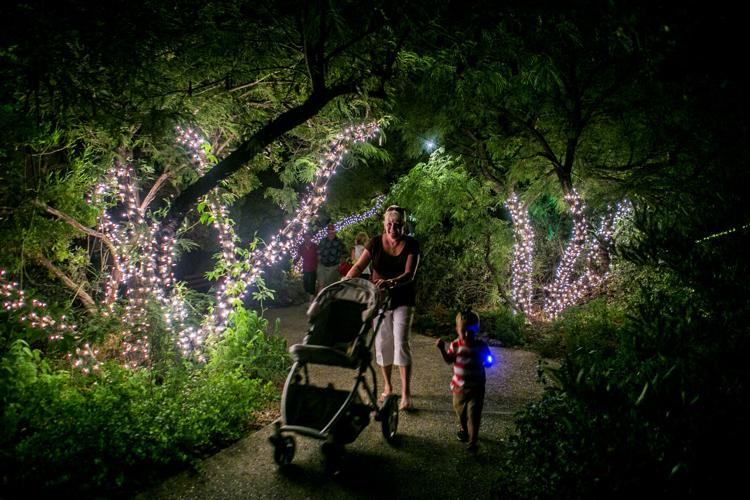 Arizona-Sonora Desert Museum