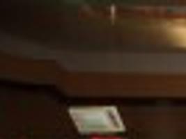 Under 30 Panda Buffet Fills The Tray With Quality Variety Tucson Restaurant News Tucsoncom