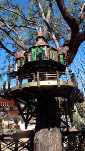 022816 SpringTours16