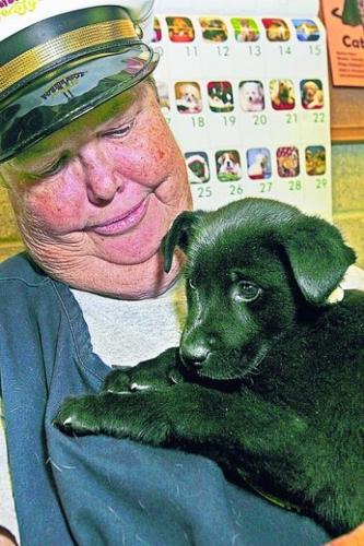 Animal rescuers seeking volunteers  