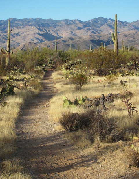 These trails easy as pie to access    