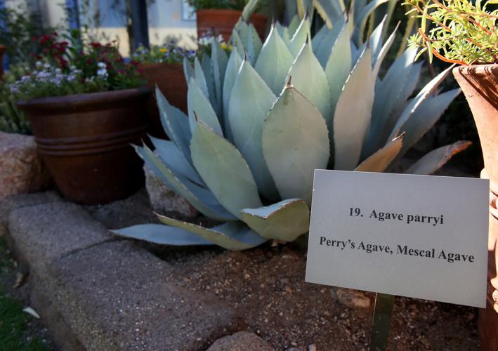 Hacienda del Sol Guest Ranch Resort