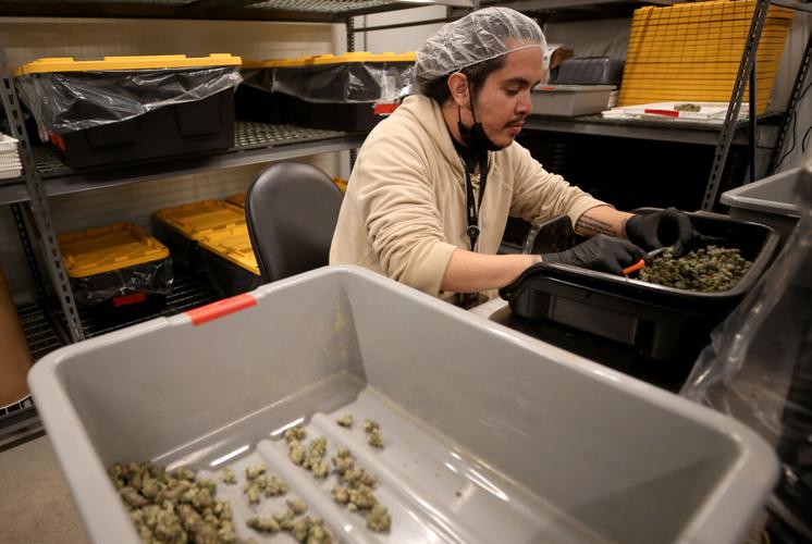 Earth's Healing worker