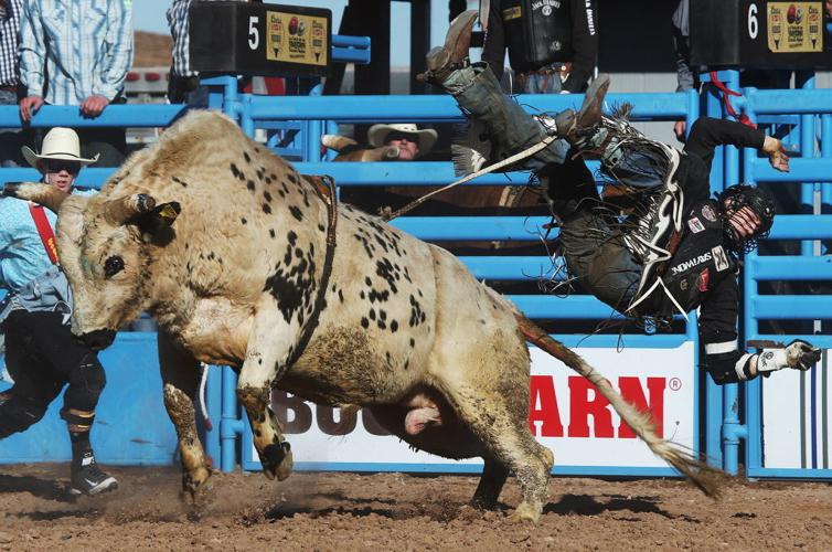 2016 Tucson Rodeo