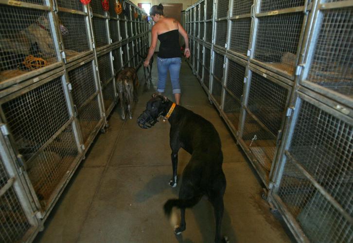 Tucson Greyhound Park