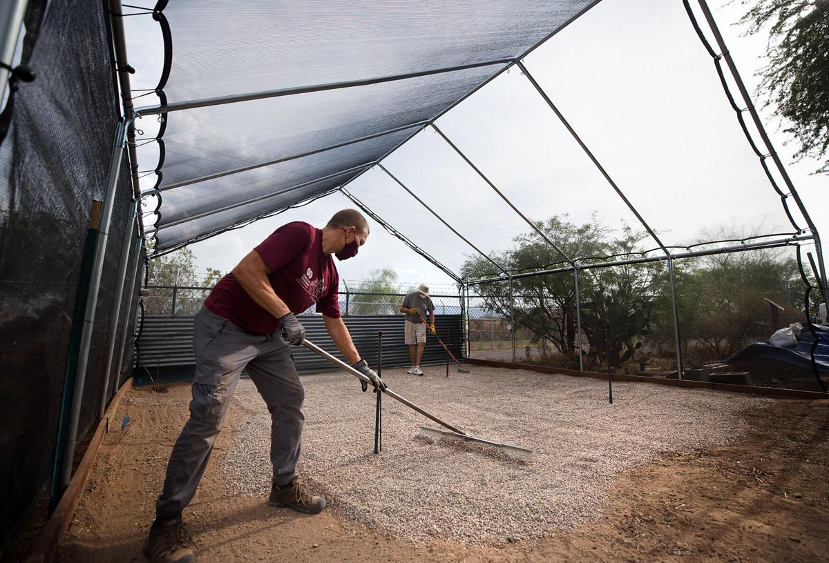Trees, Community Food Bank, 2022 (LE)