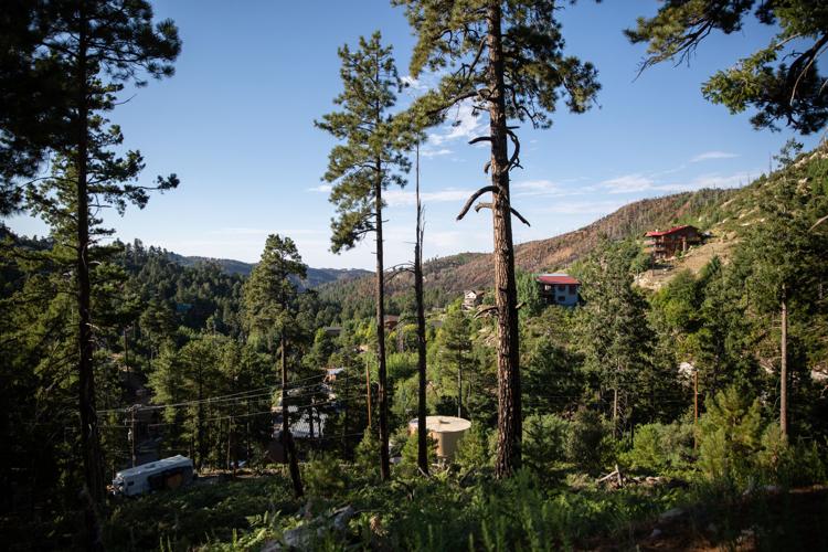Catalina Highway, Mt. Lemmon (LE)