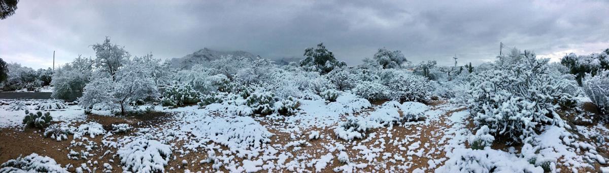La nevada de la noche será reemplazada por una tarde soleada (LE)
