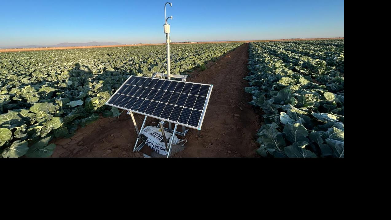 Online water-use tracker could help Arizona farmers use less on crops