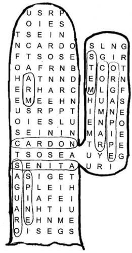 Columnar cacti of the Sonoran Desert  