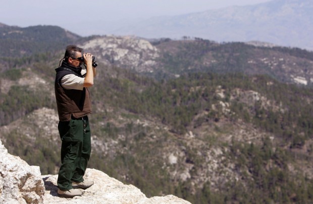 Sabino, Mount Lemmon included in forest closing   