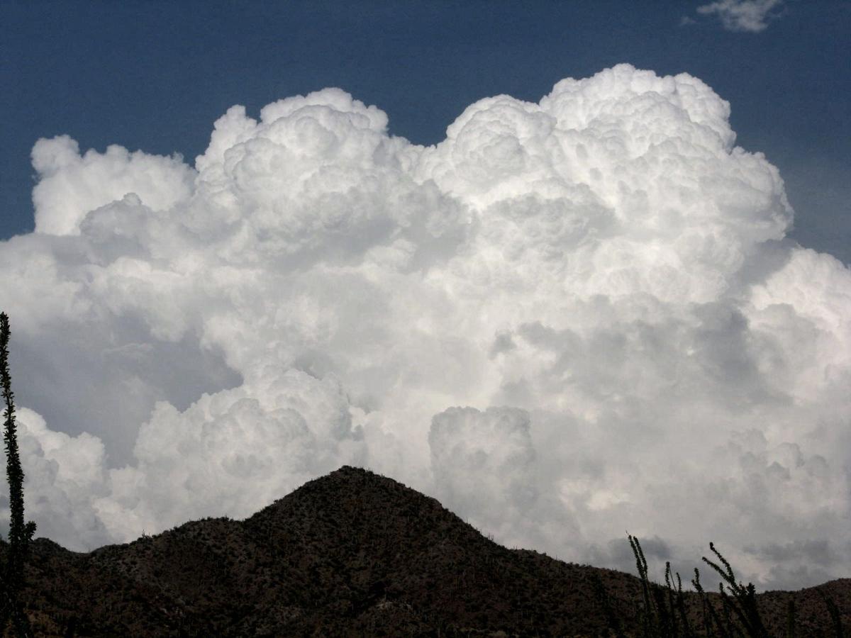 Monsoon Rains in the Desert
