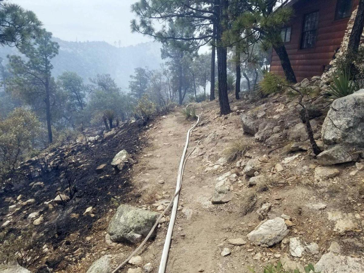 Tucson's Bighorn Fire: Crews work to contain eastern edge of 95,000-acre blaze