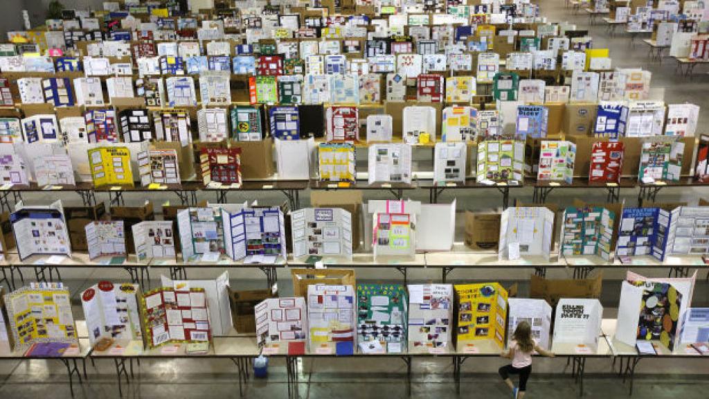 2014 Science Fair Winners K 12 Tucson Com