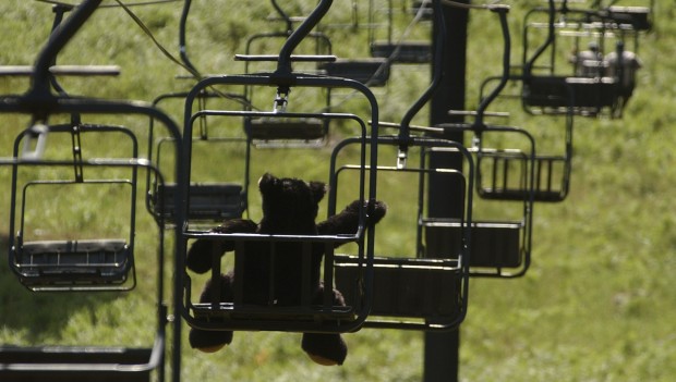 Mt. Lemmon: A busy mountain