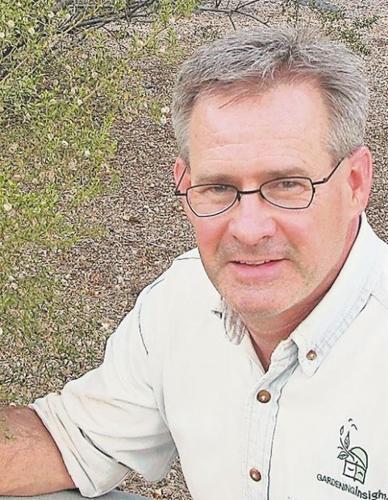 Pick plants that thrive in hot weather  