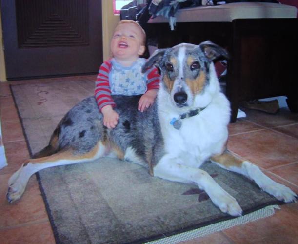 Happy National Dog Day!