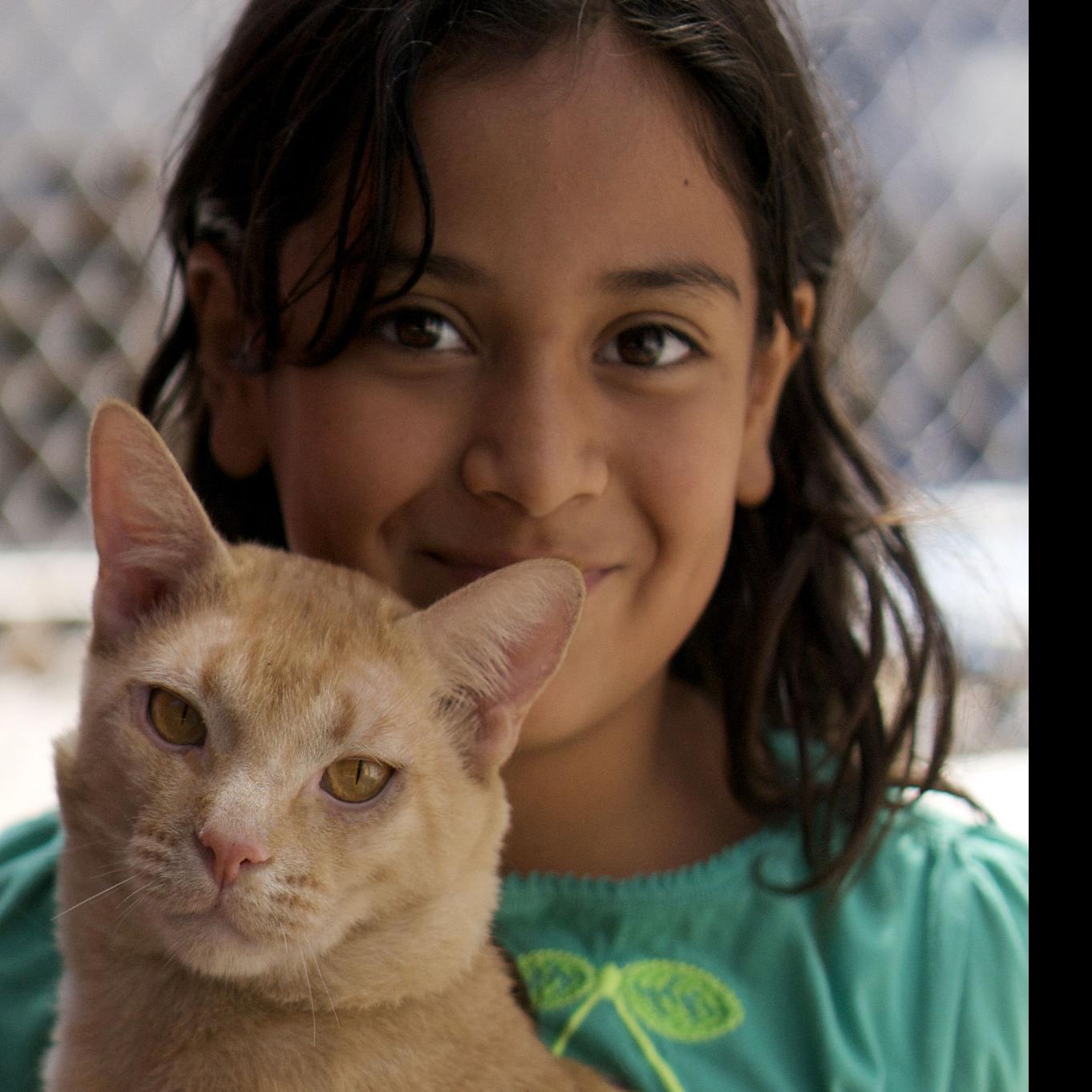 New Monthly Cat Shelter Program Lets Kids Play And Cuddle With The