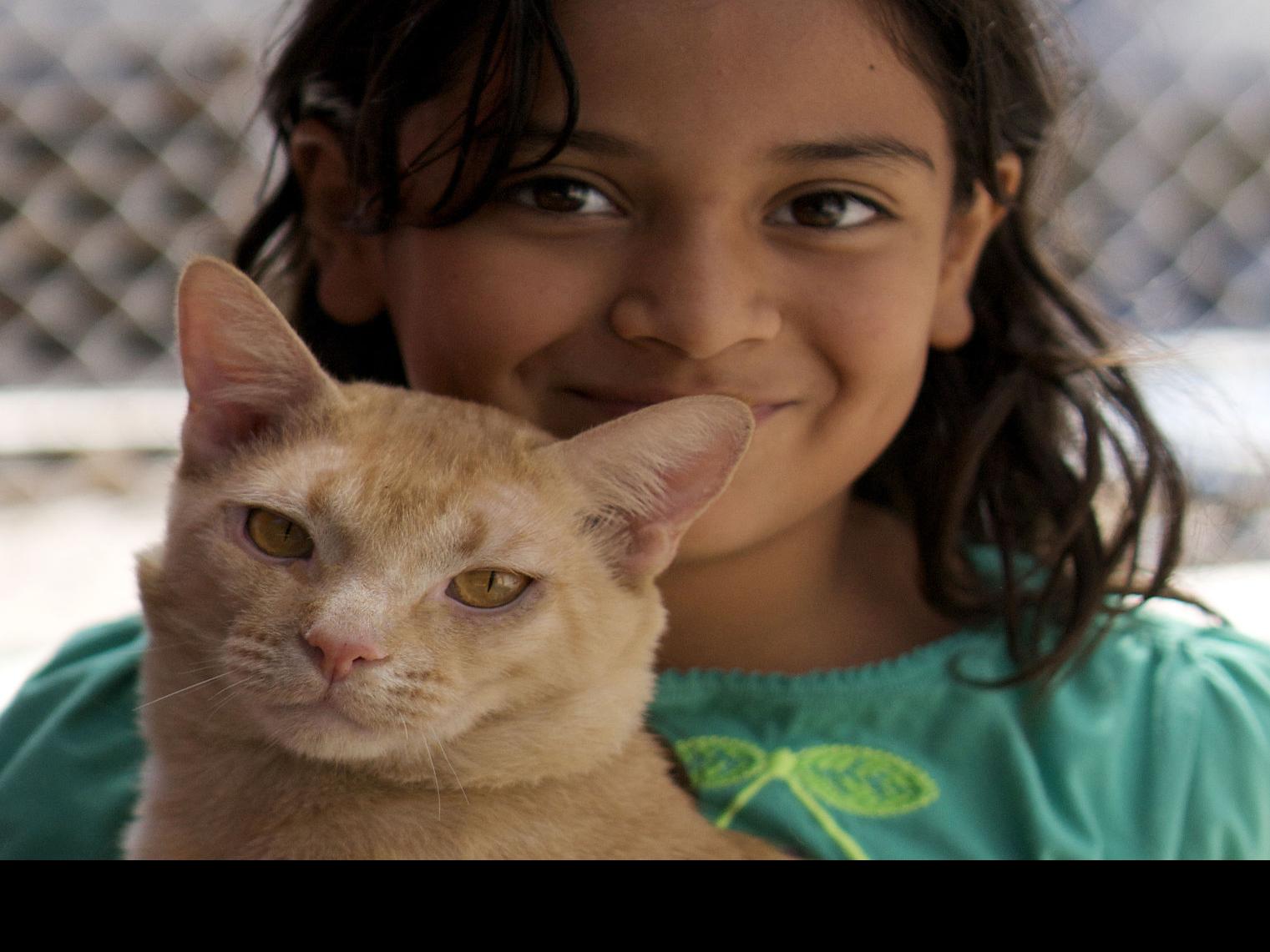 New Monthly Cat Shelter Program Lets Kids Play And Cuddle With The Kitties To Do Tucson Com