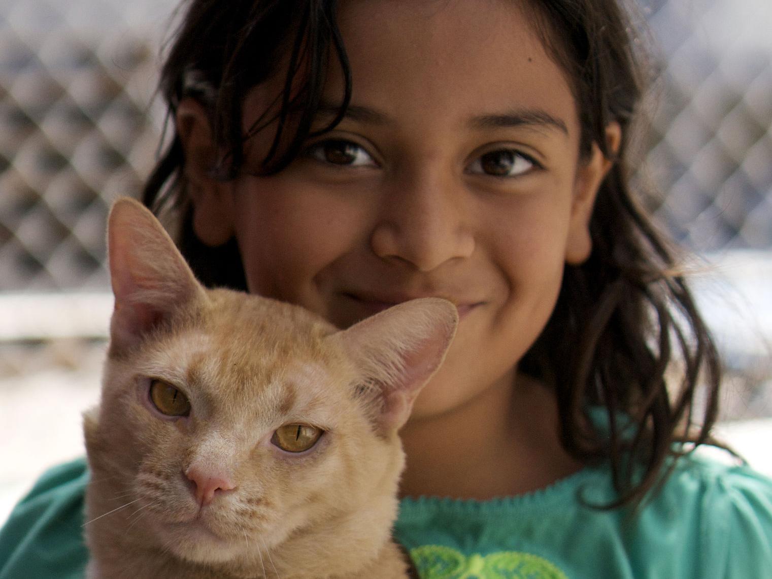New Monthly Cat Shelter Program Lets Kids Play And Cuddle With The Kitties To Do Tucson Com