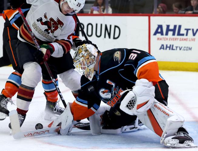 Roadrunners vs San Diego Gulls, AHL hockey (copy)