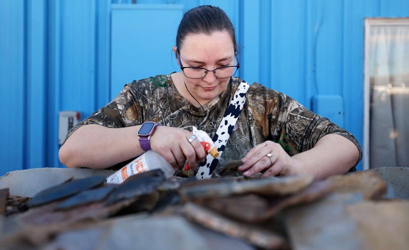 Rock Yard Tucson Gem Show