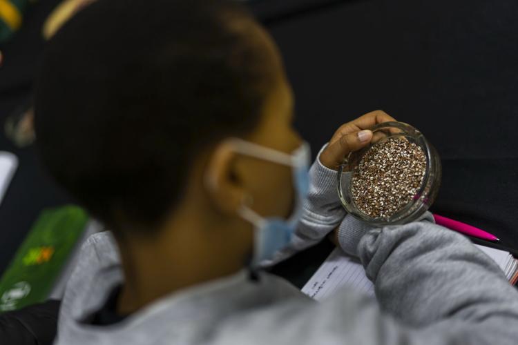 South Africa Female Beer Brewer