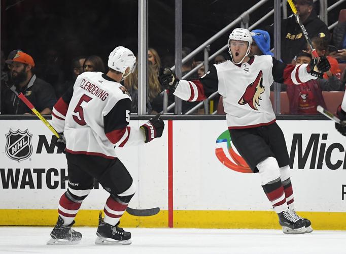 Timothy Gassen: After 20 years, Arizona-Coyotes marriage still going strong