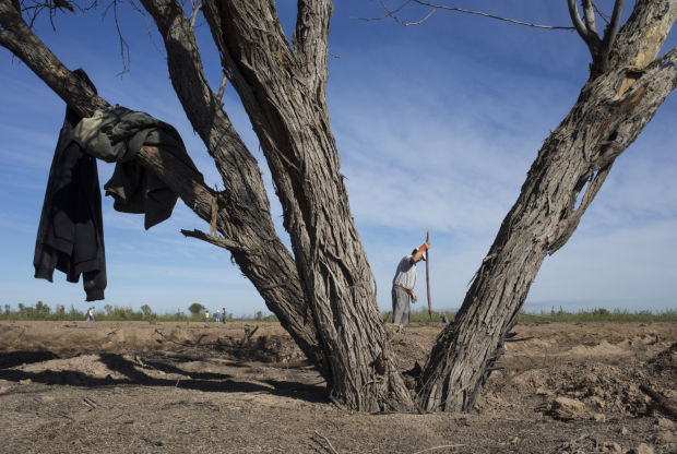 Colorado River delta