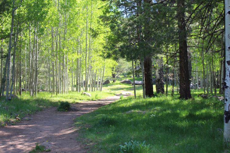 Go take a hike Flagstaff's Aspen Corner a break from Tucson's heat