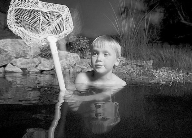 State-guided project puts Tucsonans on front line of amphibian protection  