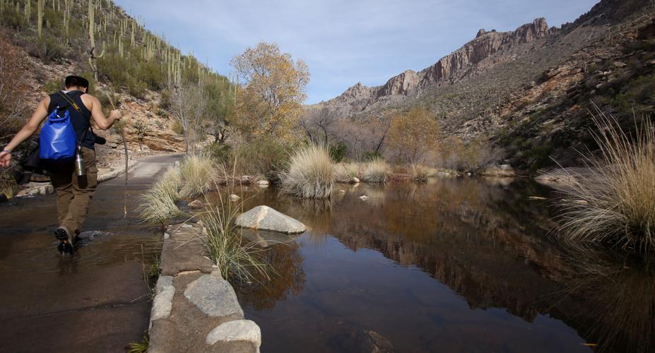 Sabino Canyon