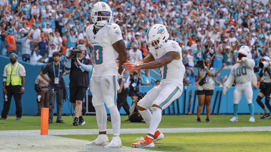 Jaguar Dolphins Football