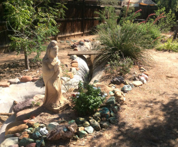 Backyard river
