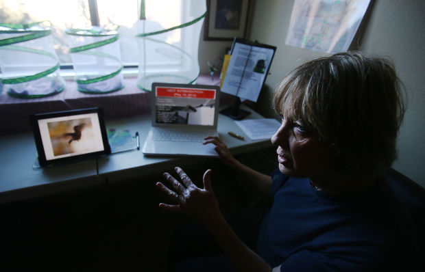 Wildlife rehabbers saving tiny lives