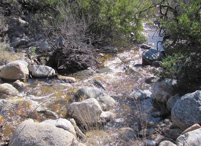 Flowing stream