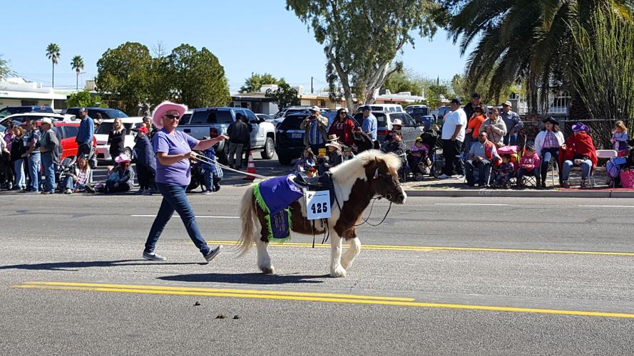 2017 Tucson Rodeo Parade entries