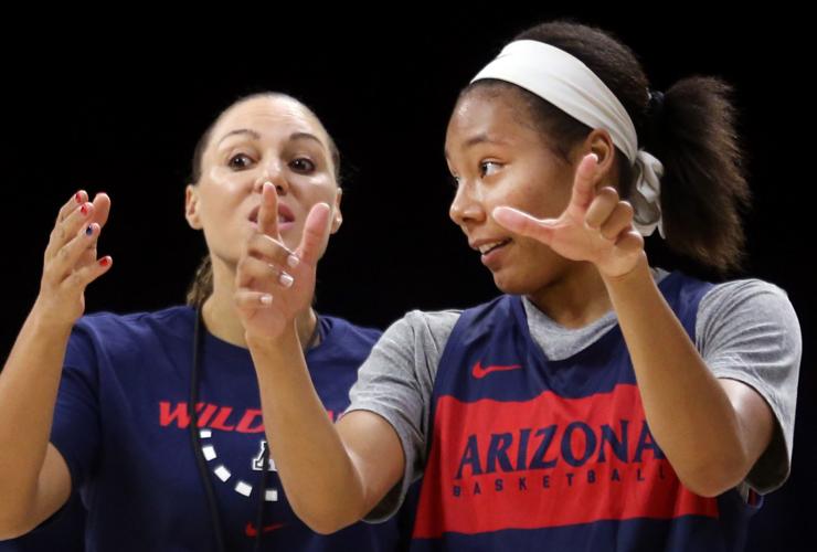University of Arizona Wildcats women's basketball