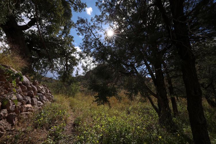 Chiricahua National Park