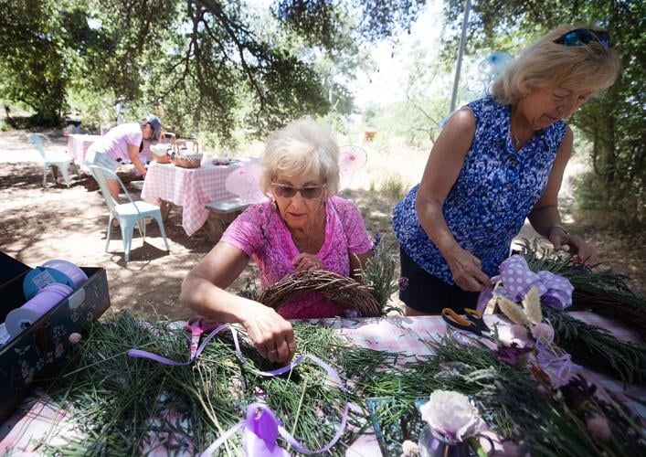 Life Under the Oaks Lavender Farm