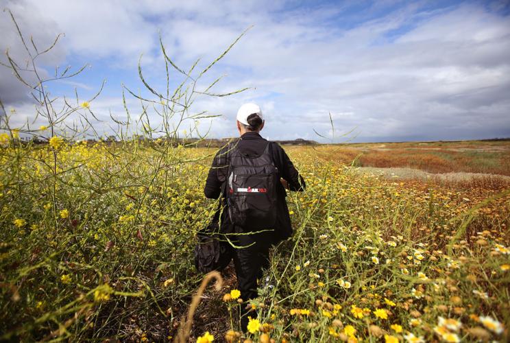 2016 Border Project: California