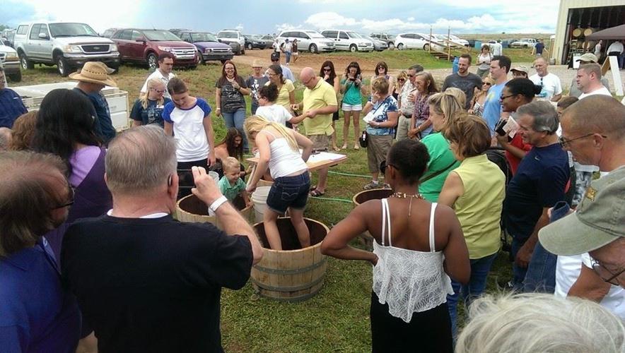 Saturday, July 30 — HarvestFest & Grape Stomp