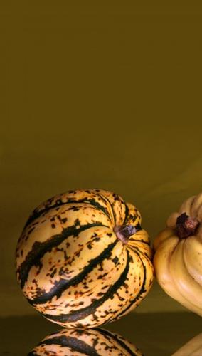 Squash those misconceptions   