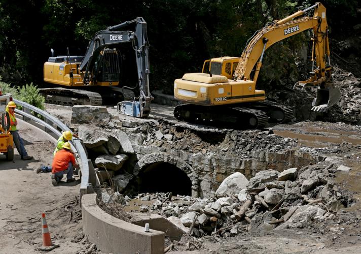Frye Fire recovery on Mt. Graham