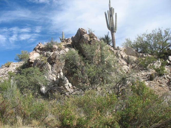 Owl haunt in Honey Bee Canyon