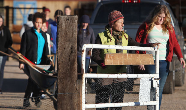 River Road Gardens at Tucson Waldorf School