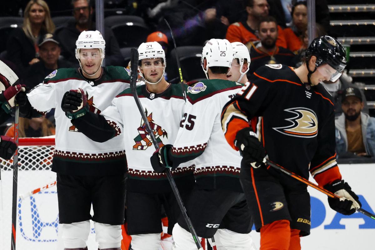 Coyotes Ducks Hockey